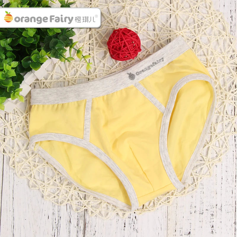 4 Pcs Boy Briefs Underwear Cotton Breathable
