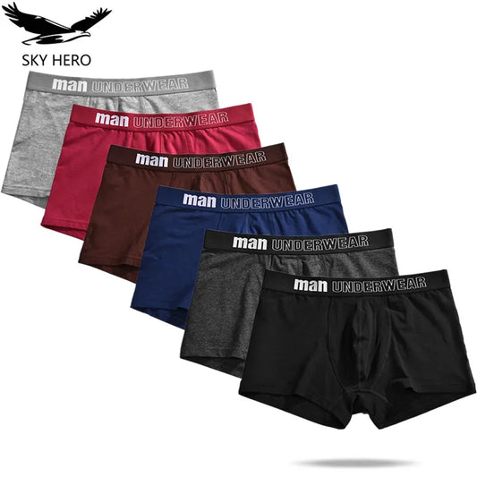 6pcs Men Boxer Briefs Shorts Underwear