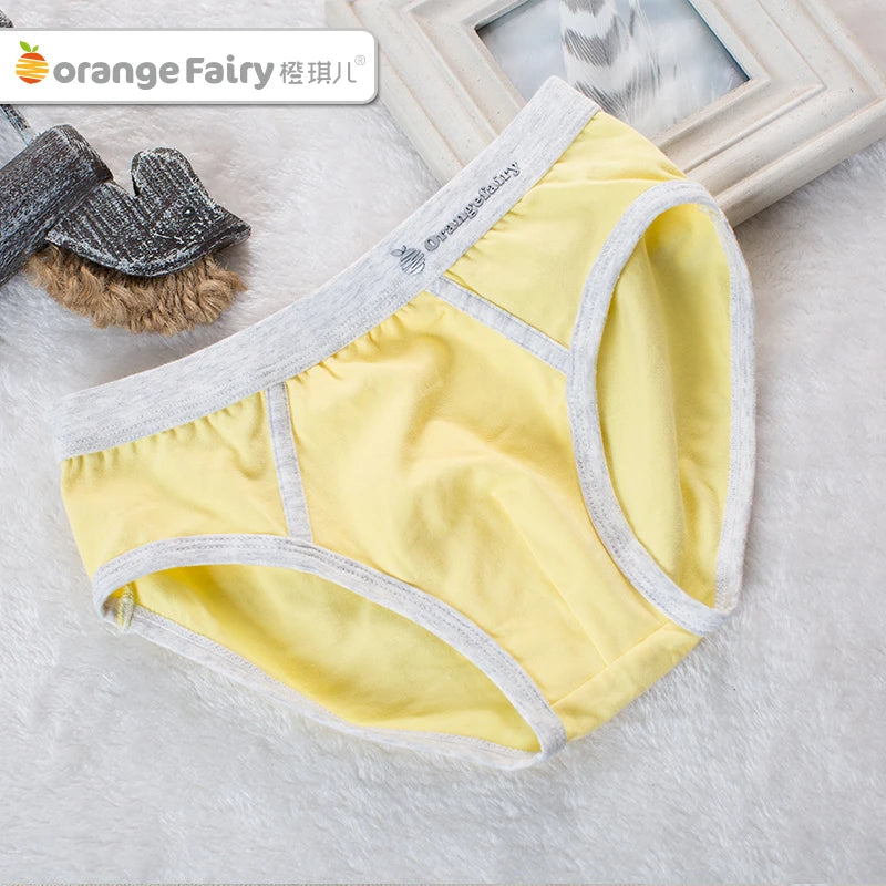 4 Pcs Boy Briefs Underwear Cotton Breathable