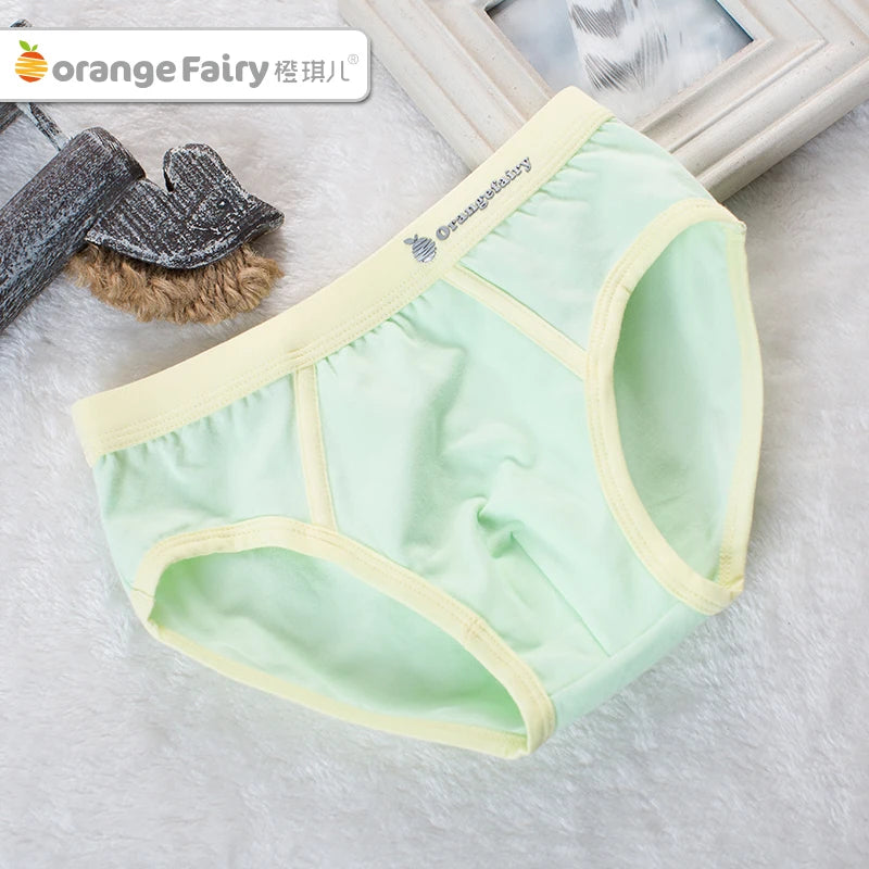 4 Pcs Boy Briefs Underwear Cotton Breathable