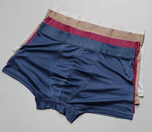 1 PC Pure Silk Men Underwear Boxer