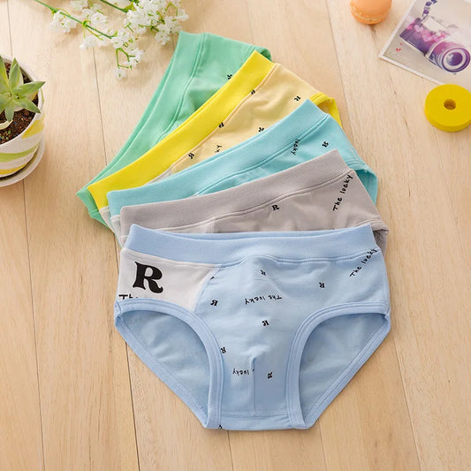5 Pcs Boys Teenagers Briefs Underwear