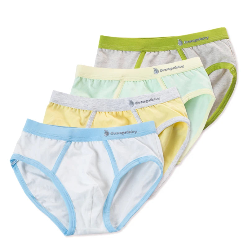 4 Pcs Boy Briefs Underwear Cotton Breathable