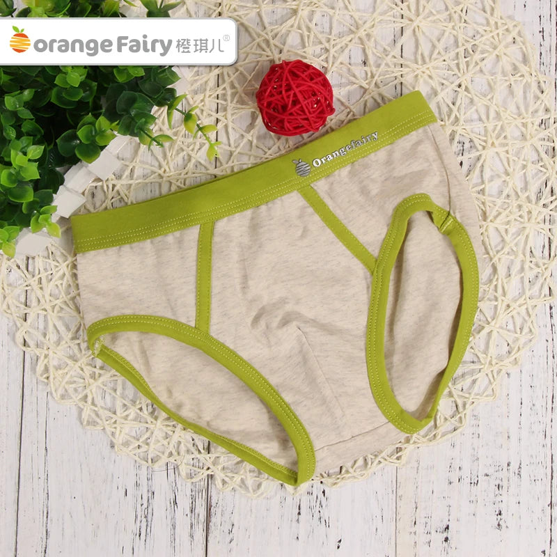 4 Pcs Boy Briefs Underwear Cotton Breathable