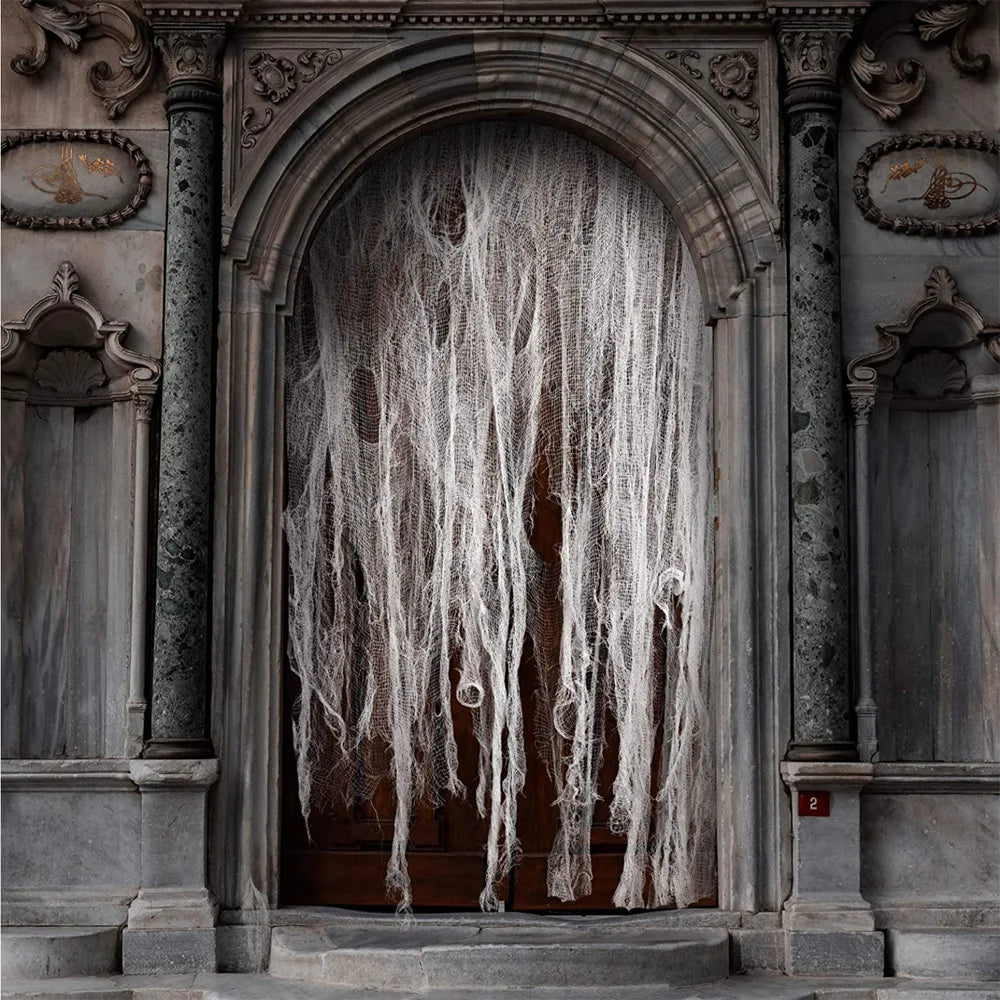 Horror Bloodstained Indoor Spooky Black Spider Web
