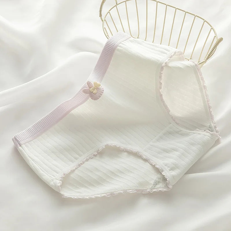 6 Pcs Young Girl Fashion Middle Waist Briefs Underwear Teenager