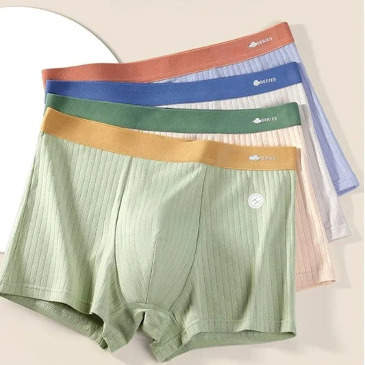 4PCS Teen Boys Antibacterial Breathable Underwear