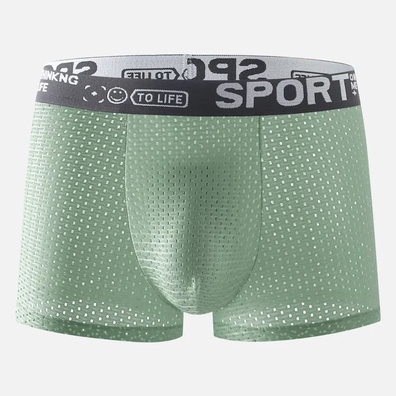 4pcs Mesh Men Boxer Quick Dry Briefs Breathable