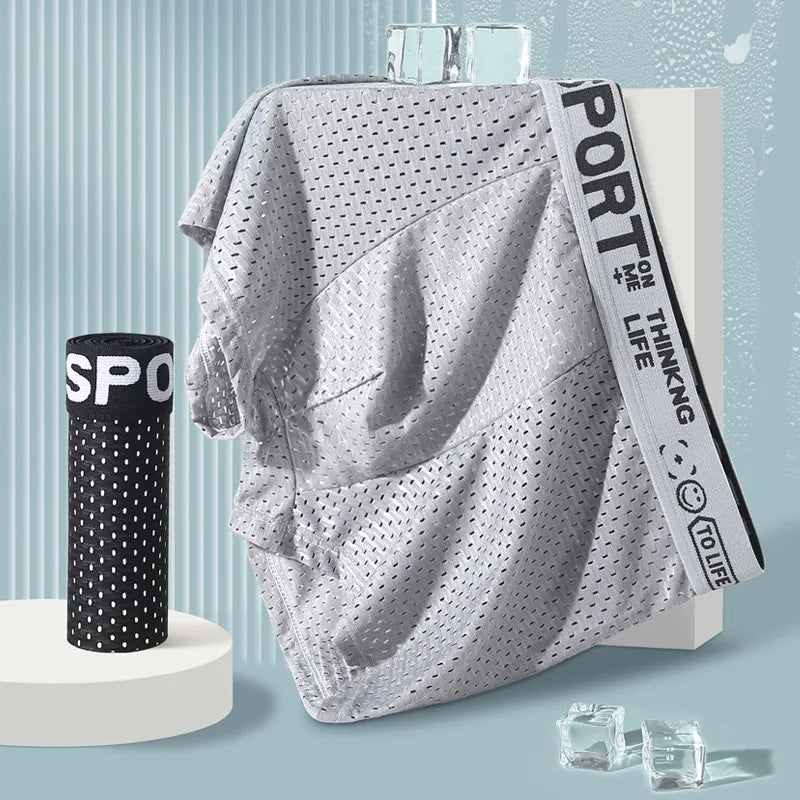 4pcs Mesh Men Boxer Quick Dry Briefs Breathable