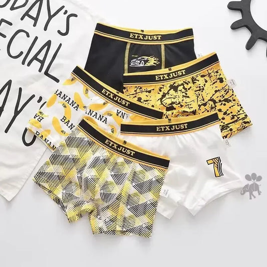 5PC Boys Underwear Cotton Boxer