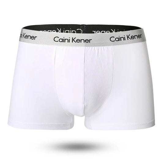2025 New 3Pcs Underwear For Men Boxers