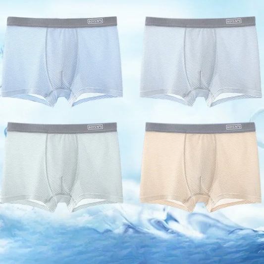 4PCS Teen Boys Mesh Breathable Underwear