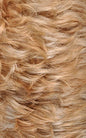 Body Wave Short Half Wig Glueless Wear and Go