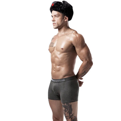 6pcs Men Boxer Briefs Shorts Underwear