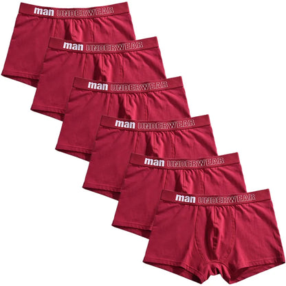 6pcs Men Boxer Briefs Shorts Underwear