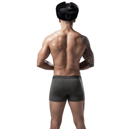 6pcs Men Boxer Briefs Shorts Underwear