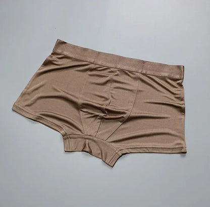 1 PC Pure Silk Men Underwear Boxer