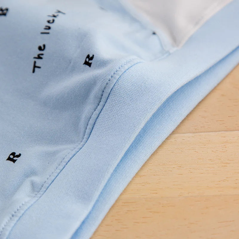 5 Pcs Boys Teenagers Briefs Underwear