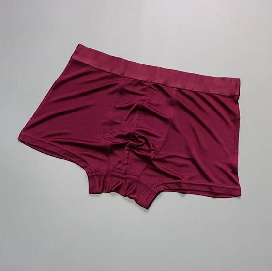 1 PC Pure Silk Men Underwear Boxer