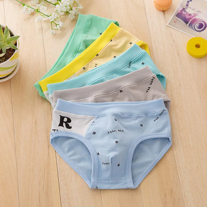 5 Pcs Boys Teenagers Briefs Underwear