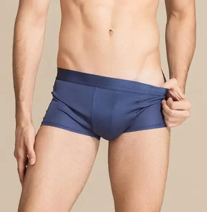 1 PC Pure Silk Men Underwear Boxer