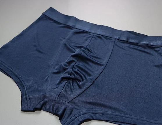 1 PC Pure Silk Men Underwear Boxer