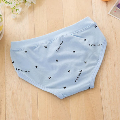 5 Pcs Boys Teenagers Briefs Underwear