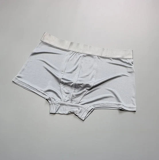 1 PC Pure Silk Men Underwear Boxer