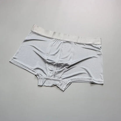 1 PC Pure Silk Men Underwear Boxer