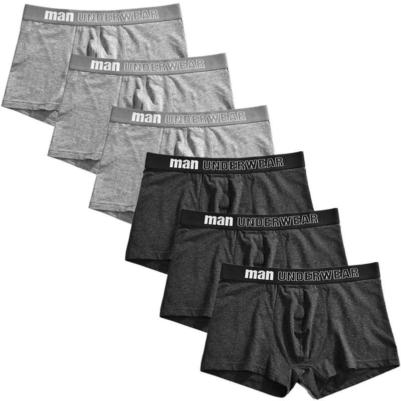 6pcs Men Boxer Briefs Shorts Underwear