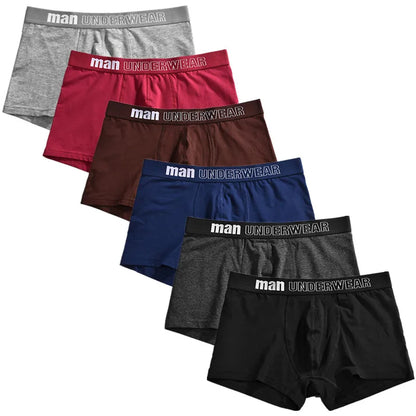 6pcs Men Boxer Briefs Shorts Underwear