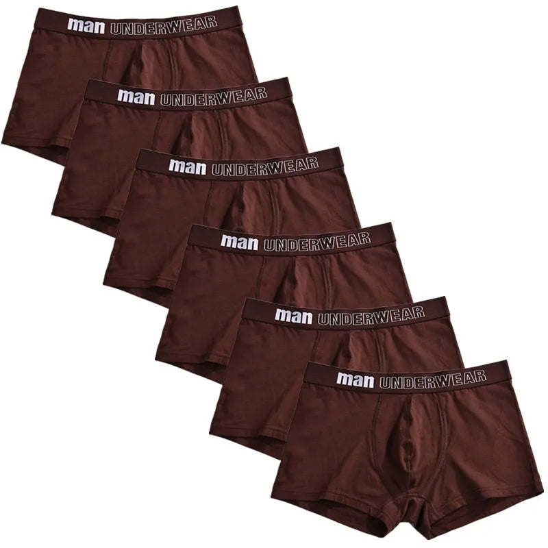 6pcs Men Boxer Briefs Shorts Underwear