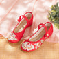Womens Cloth Shoes Streetwear Embroidery Casual Vintage