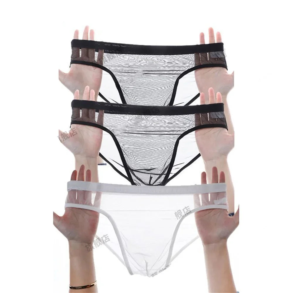 3Pcs See Through Men's Sexy Briefs Seamless