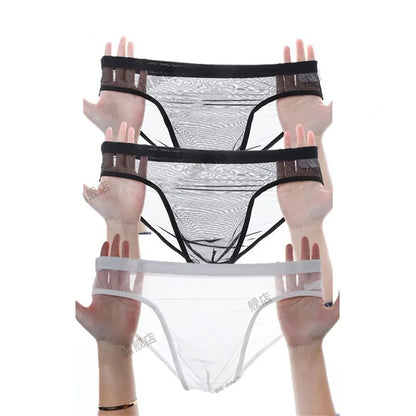 3Pcs See Through Men's Sexy Briefs Seamless