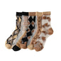 5 Pairs Women's Lace Ankle Sock