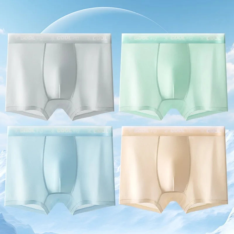 4PCS Mesh Breathable Teen Boy Comfort Antibacterial Underwear