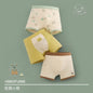 6 Pcs High Quality Boys Boxer Cartoon Underwear