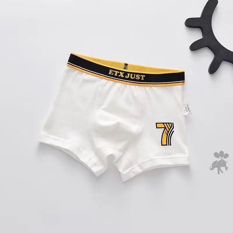 5PC Boys Underwear Cotton Boxer