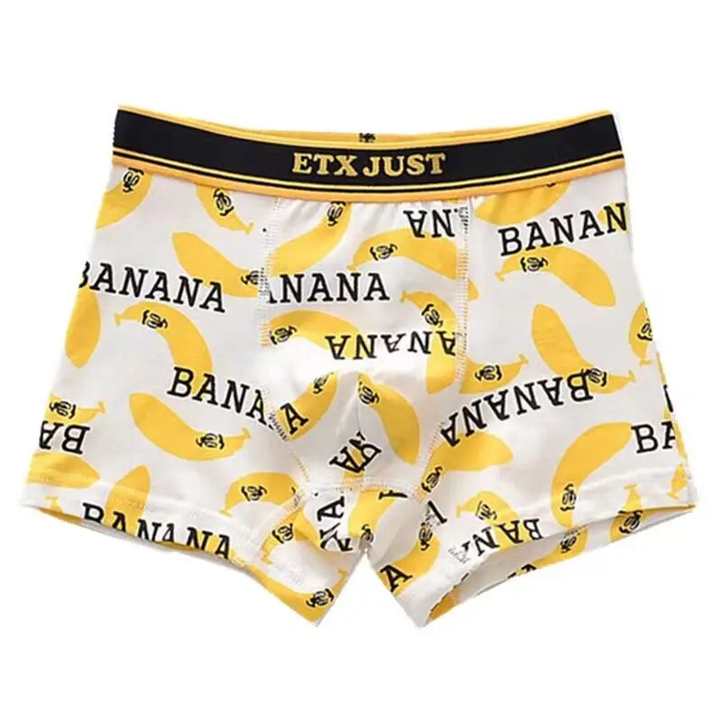 5PC Boys Underwear Cotton Boxer