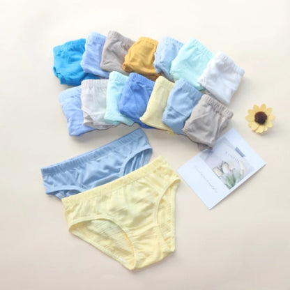 12PC Boys Cotton Underwear Briefs