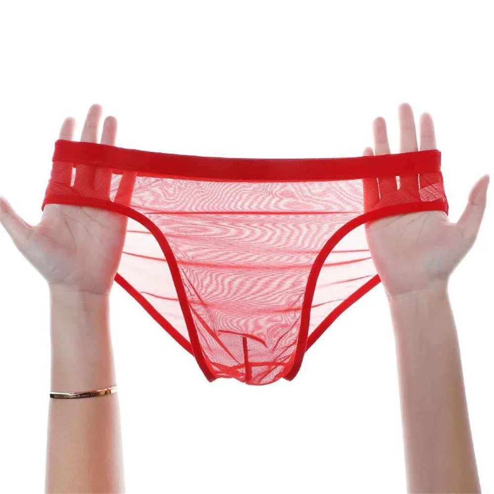 3Pcs See Through Men's Sexy Briefs Seamless