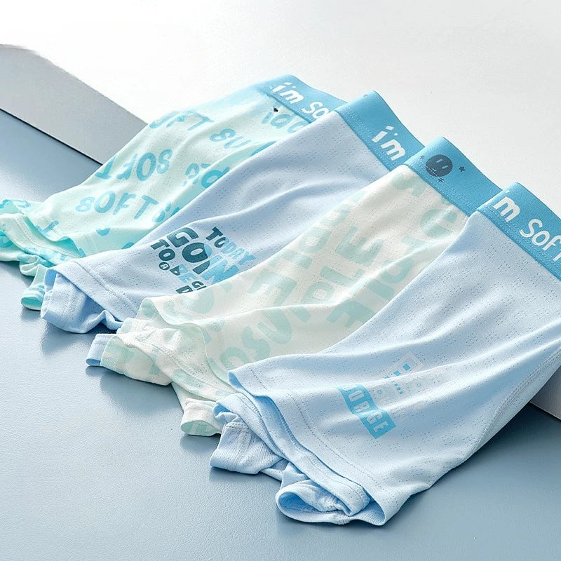 4PCS Teen Boys Mesh Breathable Antibacterial Underwear