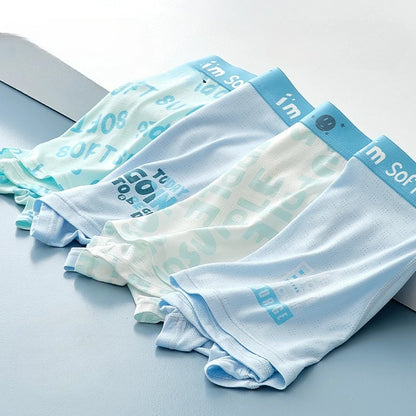 4PCS Teen Boys Mesh Breathable Antibacterial Underwear