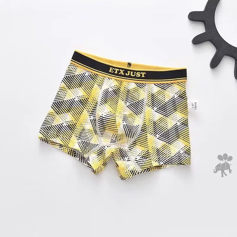 5PC Boys Underwear Cotton Boxer