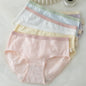 6pc Cotton Girl middle Waist BriefTeenagers