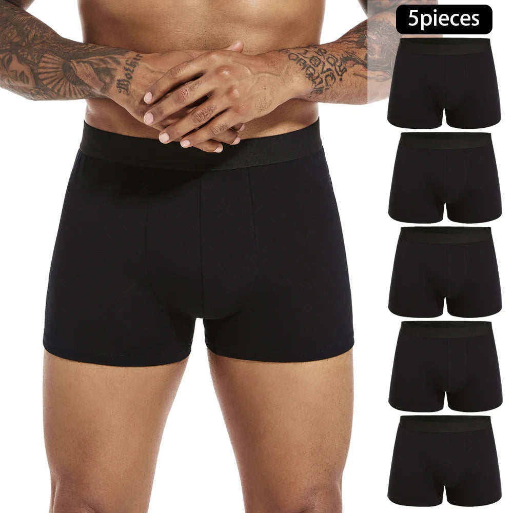5piece Black Luxury Brand Cotton Boxer Men Underwear