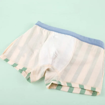 4PCS Boys Cute Dinosaur Print Breathable Comfort Underwear