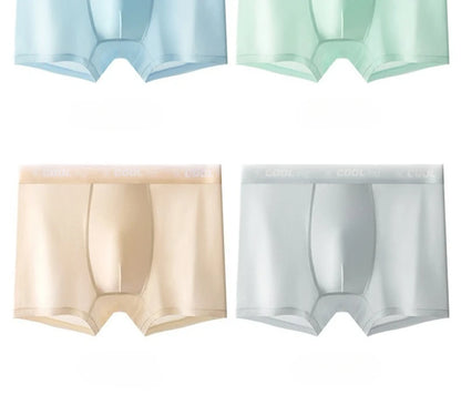 4PCS Mesh Breathable Teen Boy Comfort Antibacterial Underwear