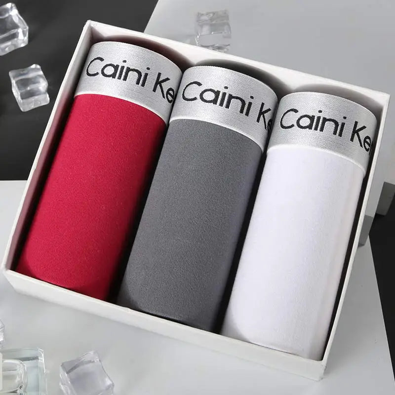 2025 New 3Pcs Underwear For Men Boxers